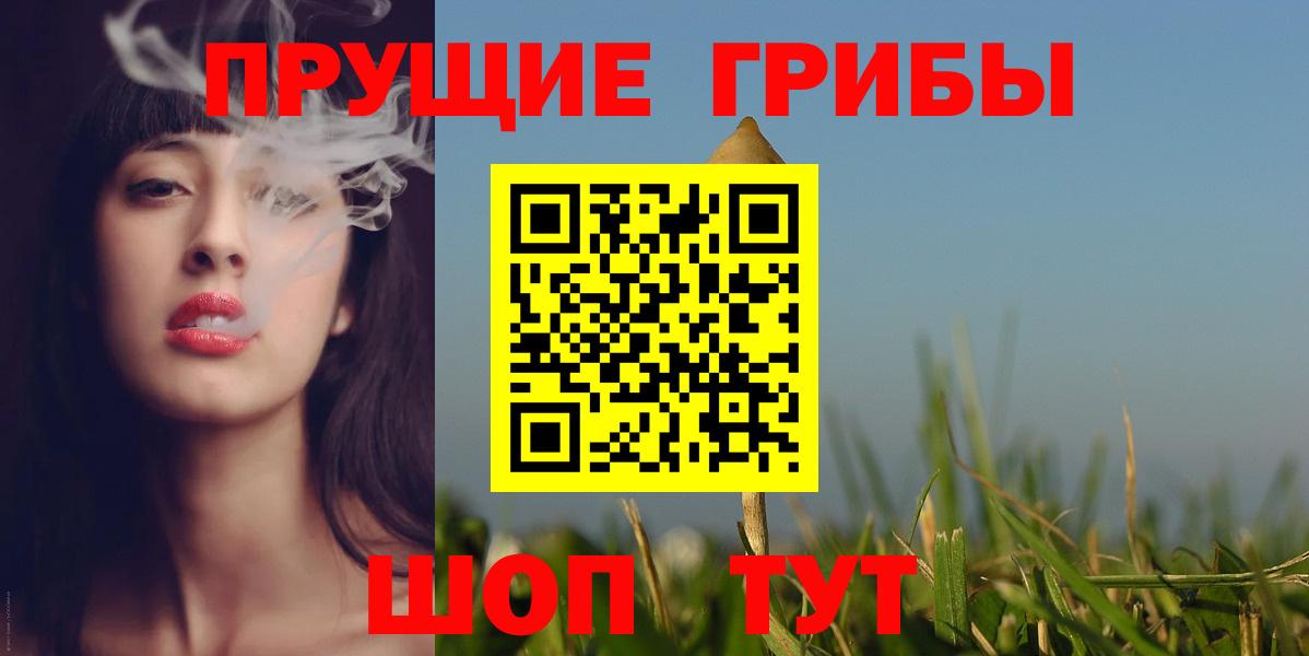 Галлюциногенные грибы Psilocybe  Вход с VPN  Волгодонск 